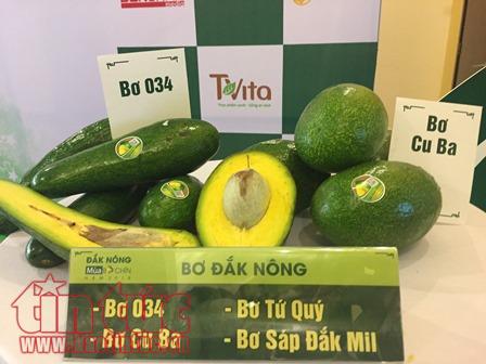 Hơn 210 doanh nghiệp tham gia lễ hội Bơ lần đầu tiên ảnh 2